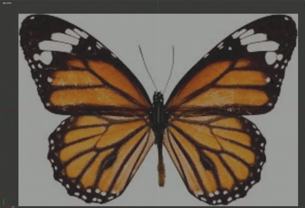 Butterfly Modeling Process