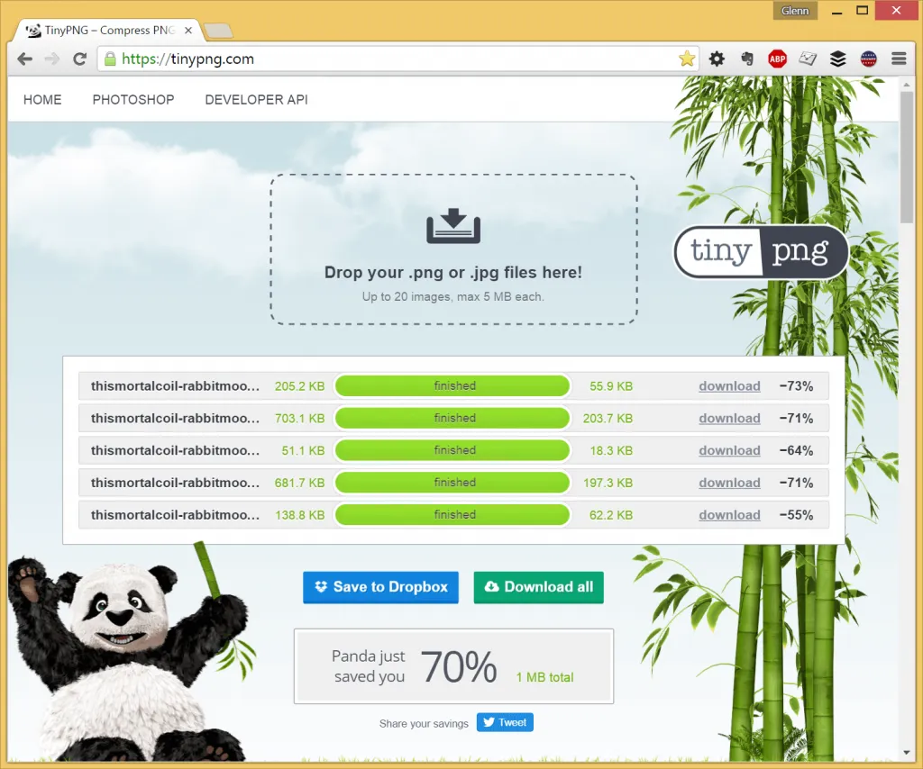 TinyPNG | The Rabbit and the Moon Retrospective