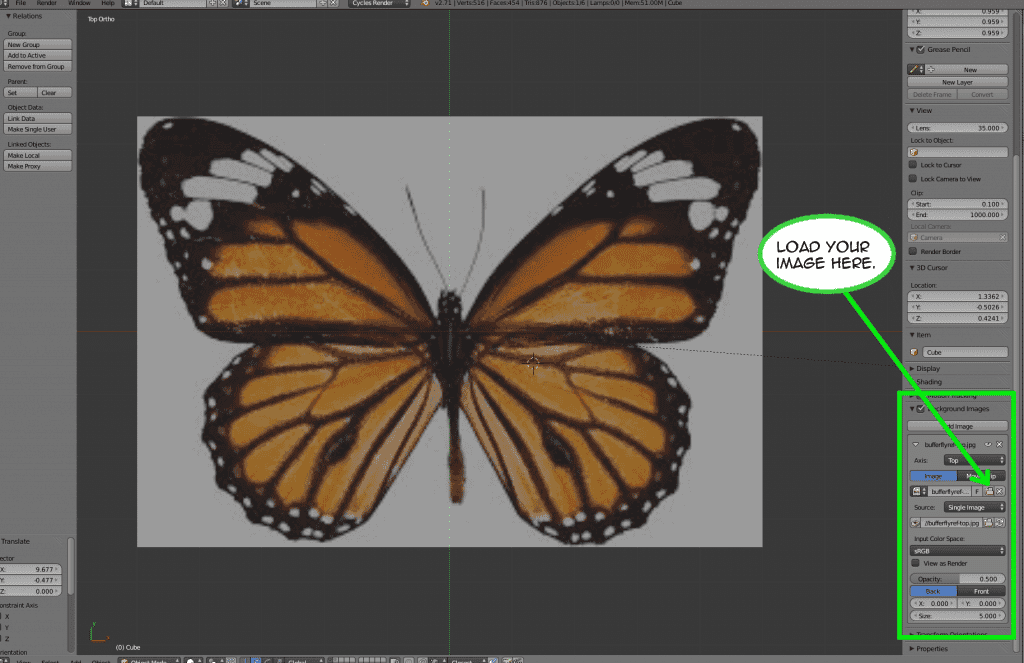 Prep for modeling butterfly